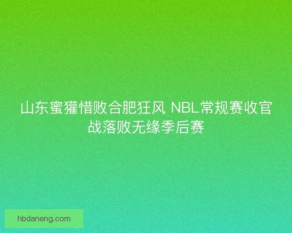 山东蜜獾惜败合肥狂风 NBL常规赛收官战落败无缘季后赛 山东蜜獾惜败合肥狂风 NBL常规赛收官战落败无缘季后赛